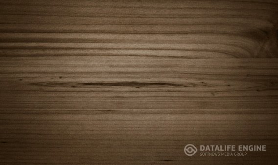 Текстура дерева